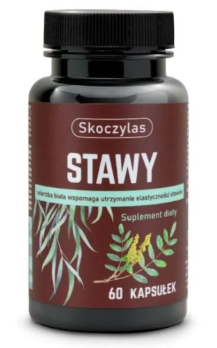 Skoczylas Stawy 60 kapsułek