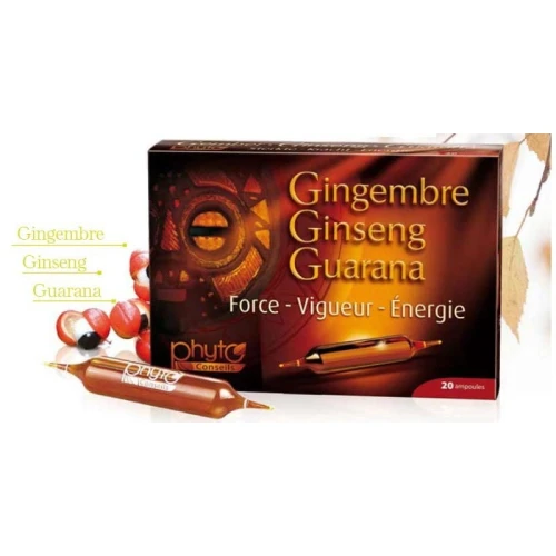ginseng-gingembre-guarana-wydolnosc-fizyczna-psychiczna-seksualna.jpg