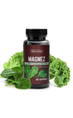 magnez-jarmuz-skoczylas-2.jpg