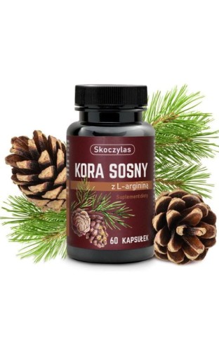 kora-sosny-skoczylas-2.jpg
