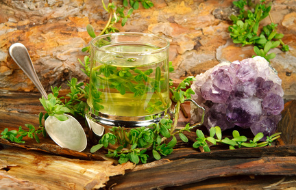 Bacopa monnieri.jpg